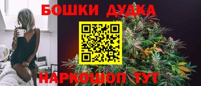 стафф Владимир